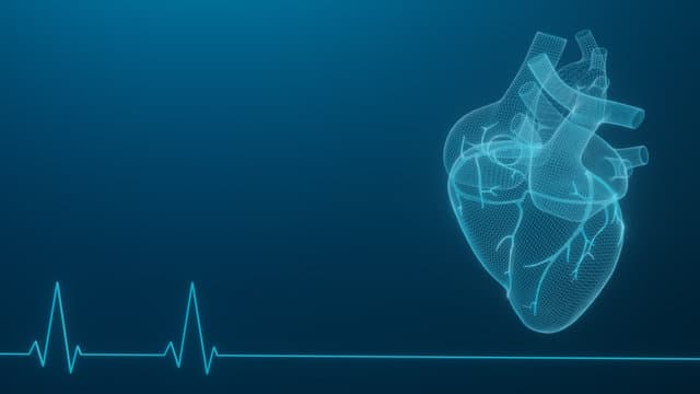Dr. Suman Bhandari - Cardiologist Background